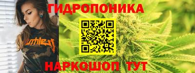 соль ск Славгород