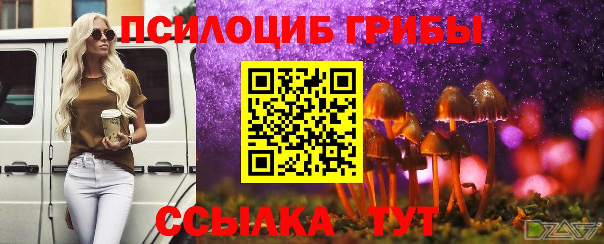 Галлюциногенные грибы прущие грибы  Вход с VPN  Орёл 
